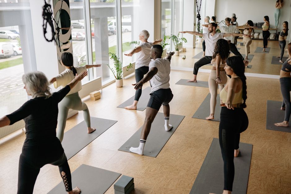 Students moving through a vinyasa flow in soft morning light.